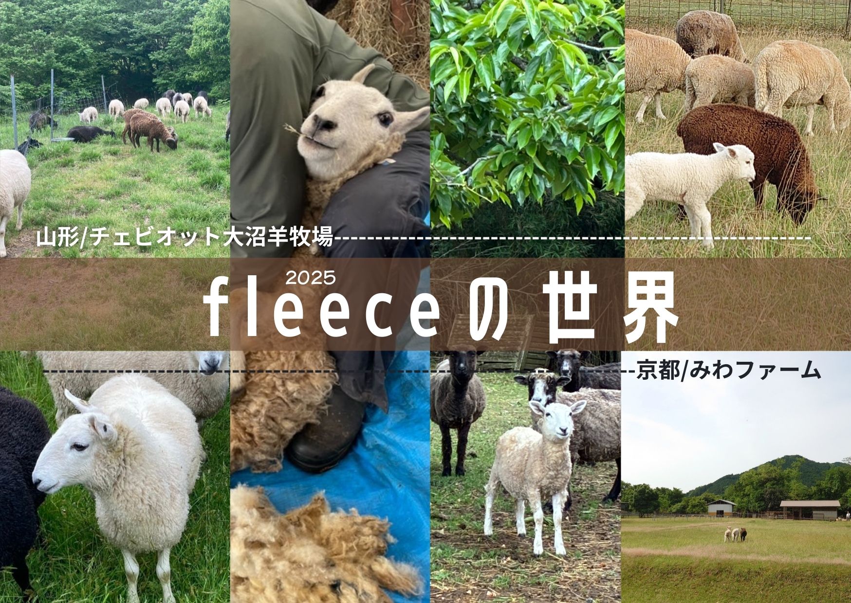 2025フリースの世界DM